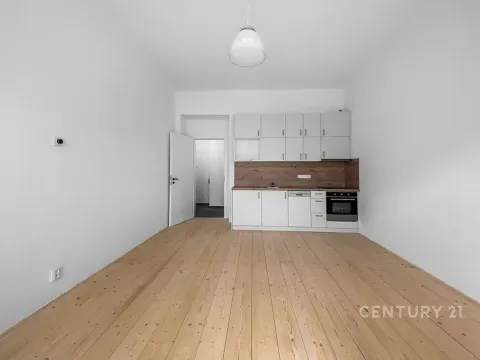 Pronájem bytu 1+kk, Praha - Nusle, Sezimova, 31 m2