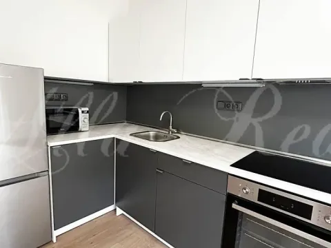 Pronájem bytu 2+kk, Brno - Zábrdovice, Bratislavská, 55 m2
