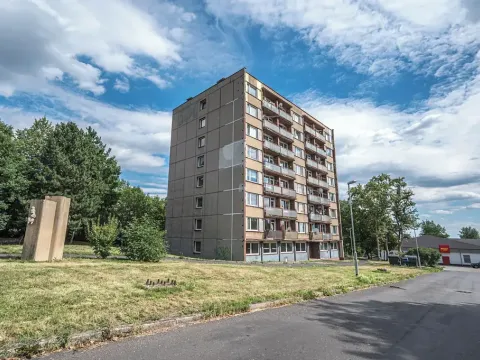 Pronájem bytu 1+1, Litvínov, U Bílého sloupu, 40 m2