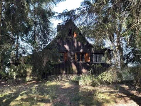 Prodej ostatní, Borová