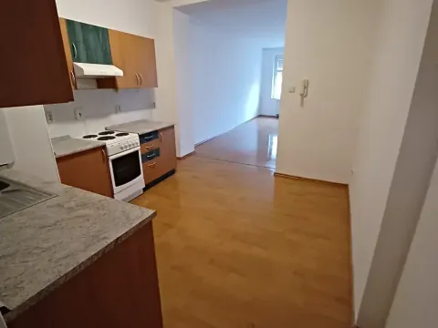 Pronájem bytu 1+1, Plzeň, Pod Všemi svatými, 54 m2
