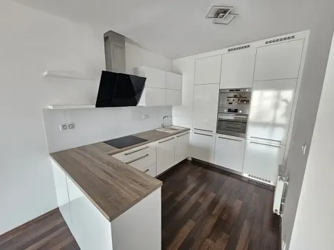 Pronájem bytu 2+kk, Brno, Řípská, 59 m2
