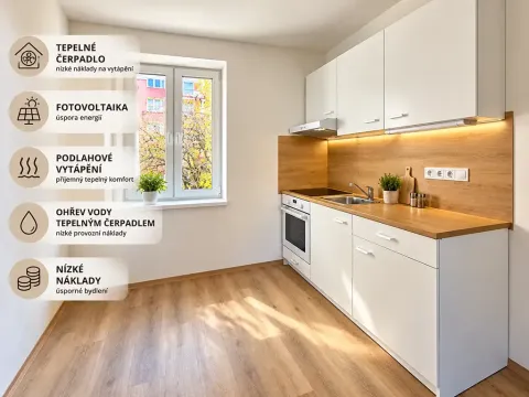 Pronájem bytu 2+1, Aš, Hlavní, 52 m2