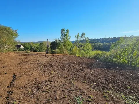 Prodej zahrady, Letovice, Pražská, 1157 m2