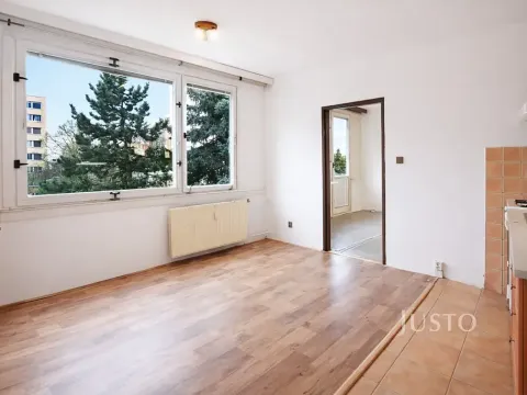 Pronájem bytu 1+1, Písek, třída Přátelství, 38 m2