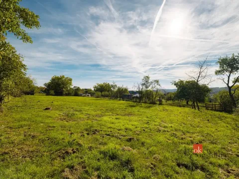 Prodej pozemku, Pňovany, 1312 m2
