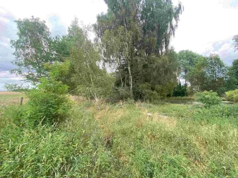 Prodej pozemku, Kladruby - Tuněchody, 2230 m2