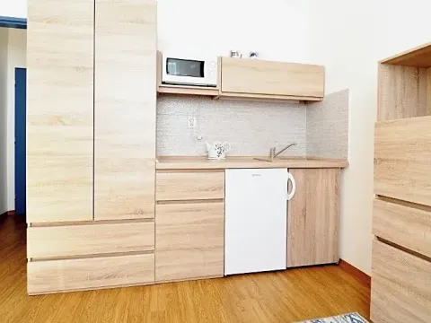 Prodej bytu 1+kk, Brno, Cejl, 17 m2