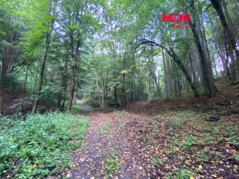 Prodej louky, Strážná, 2261 m2