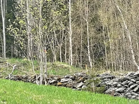 Prodej louky, Paseky nad Jizerou, 3303 m2