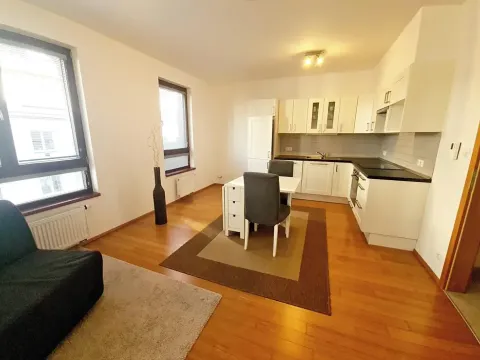 Pronájem bytu 1+kk, Praha - Žižkov, Baranova, 40 m2