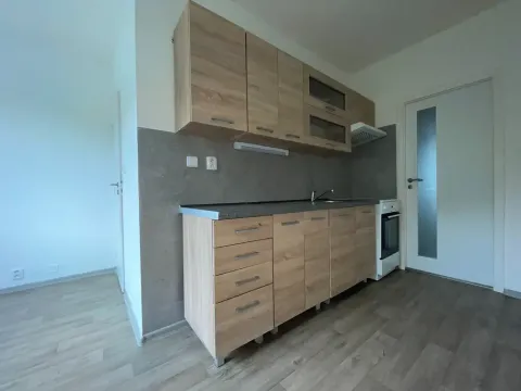 Pronájem bytu 3+1, Děčín, Na Vyhlídce, 81 m2