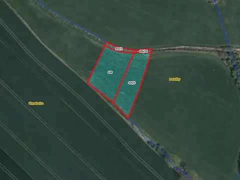 Prodej louky, Králíky, 3812 m2