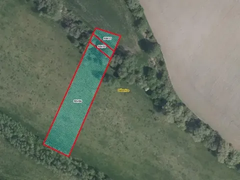 Prodej louky, Dětenice, 3390 m2