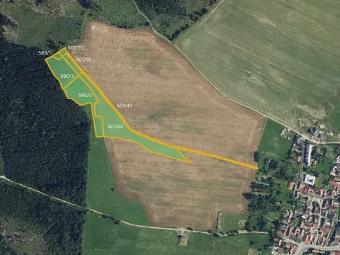 Prodej pole, Žďárná, 11618 m2