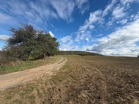 Prodej pole, Županovice, 85916 m2