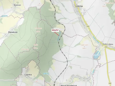 Dražba lesa, Nová Hradečná, 6750 m2