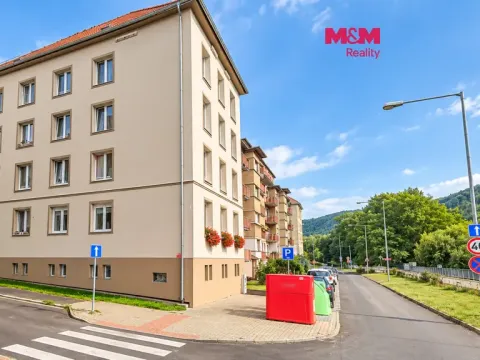 Prodej bytu 3+1, Ústí nad Labem - Střekov, Střekovské nábřeží, 67 m2