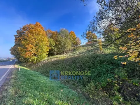 Prodej pozemku, Chotěvice, 1245 m2
