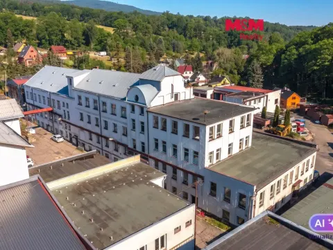 Pronájem výrobních prostor, Jílové - Modrá, 330 m2