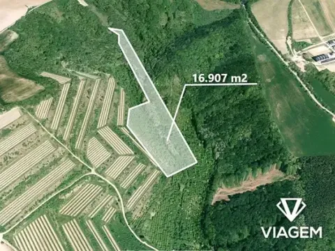 Prodej zahrady, Nikolčice, 16907 m2