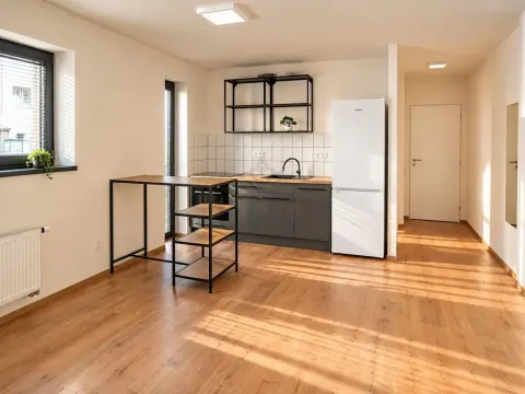Pronájem bytu 2+kk, Brno - Štýřice, Sovinec, 42 m2