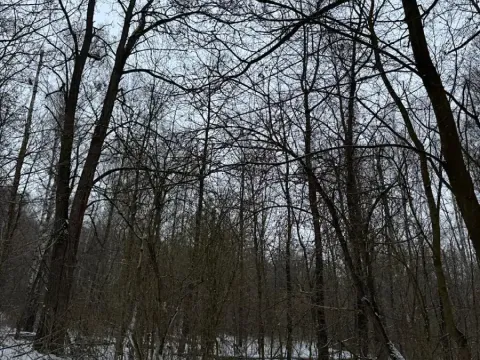 Prodej pozemku, Kralupy nad Vltavou, 719 m2