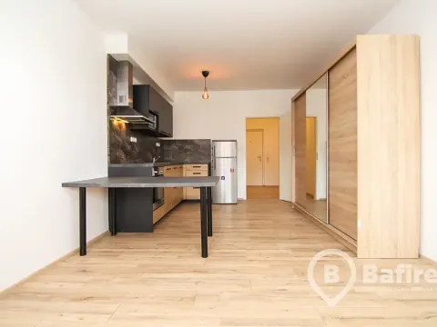 Pronájem bytu 1+kk, Olomouc, Edvarda Beneše, 33 m2