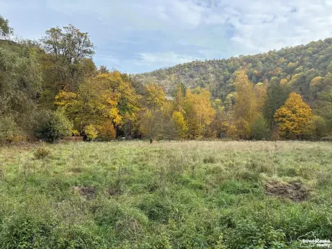 Prodej louky, Štěchovice, 4119 m2